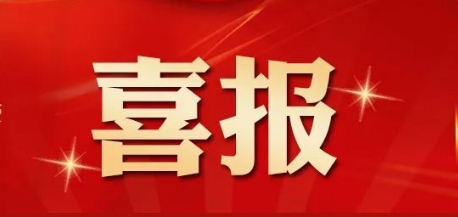 喜报 | 广东思远在“粤估协成立20周年总结表彰大会”中荣获多项荣誉表彰